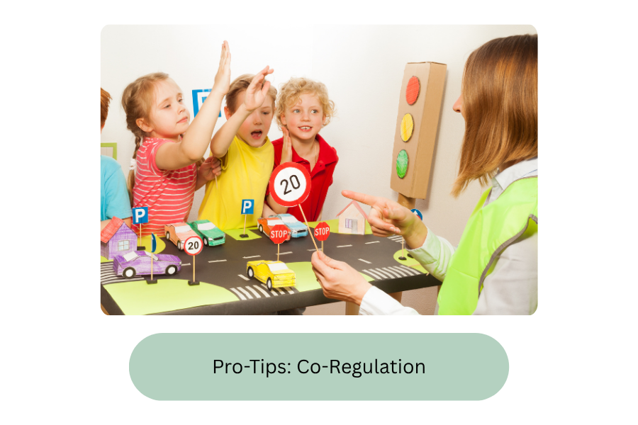 Co-Regulation Thumbnail
